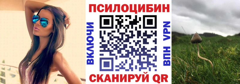 Купить закладки  Козельск  Галлюциногенные грибы Cubensis 